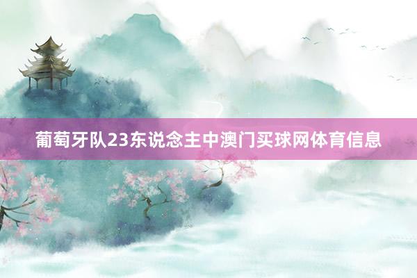 葡萄牙队23东说念主中澳门买球网体育信息