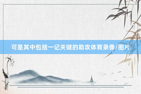 可是其中包括一记关键的助攻体育录像/图片